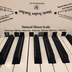 Music Scales Teacher (All-In-One Flashcard) - WSP $7.15, SRP $12.99 (45% Discount)